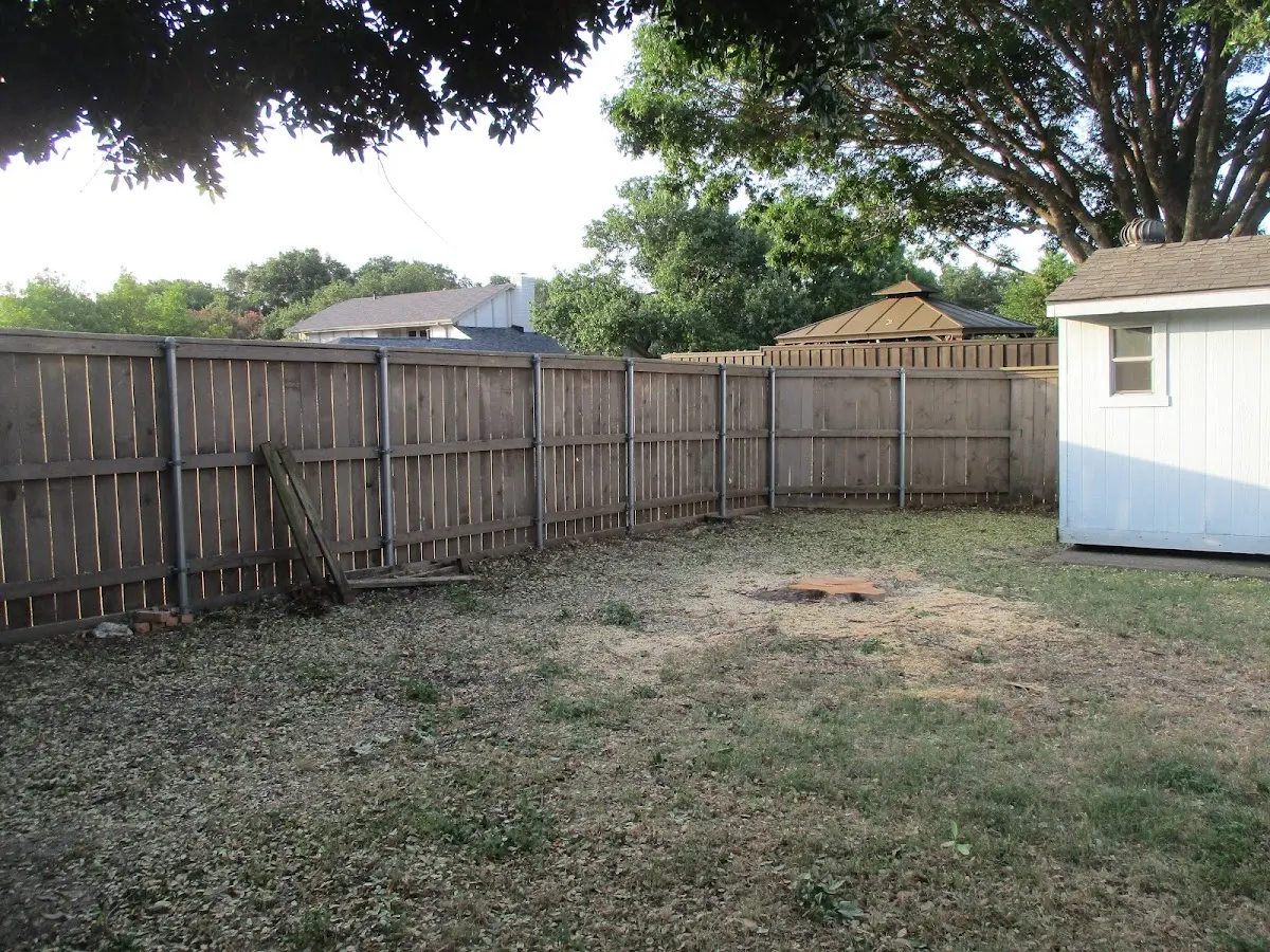 Cleared yard after professional tree removal in Norvelt